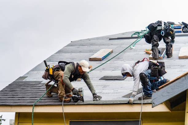 Professional Storm Damage Roof Repair technician working in Corinth, NY